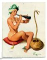 elvgrensnakecharmer1