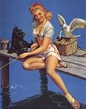 bayelvfishingterrier
