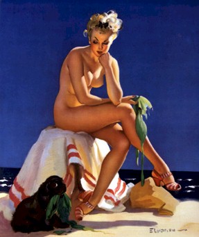 bayelvbeachdog.jpg